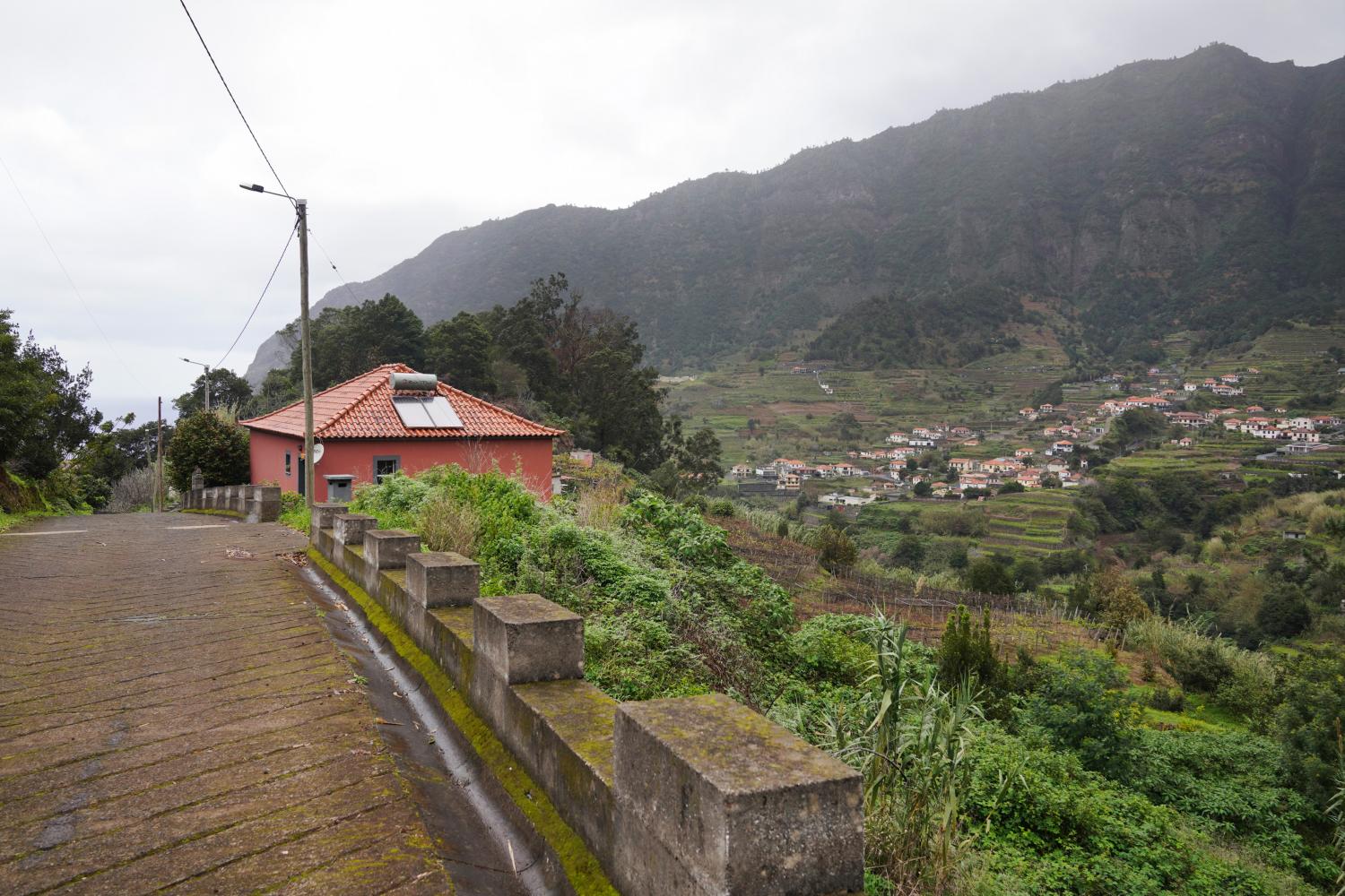 ‘Perdidos e Achados’: Na Fajã da Cinza vivem 16 cães e 13 pessoas (com fotos)