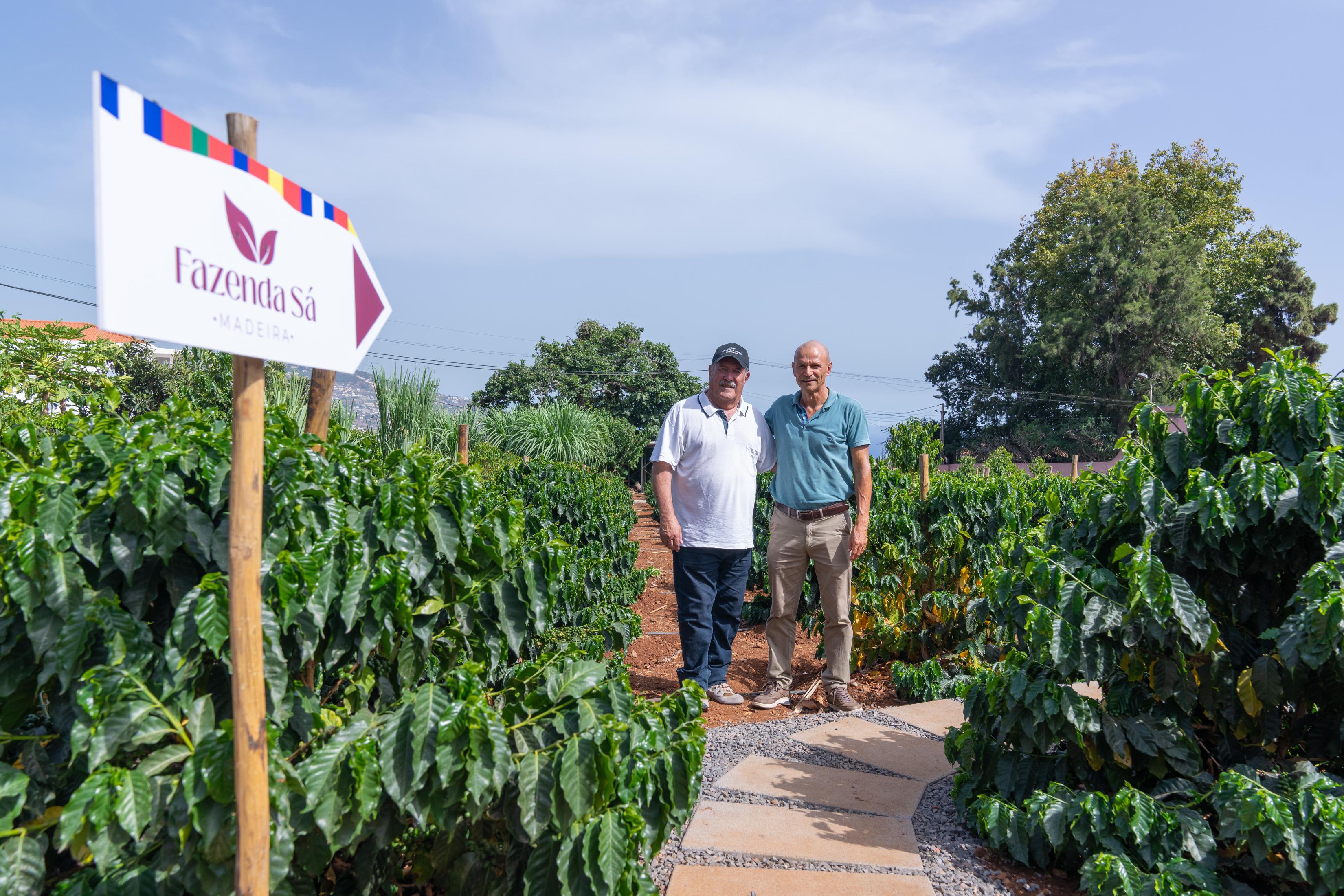 ‘Perdidos e Achados’: Fazenda plantada na urbe regada pela paixão por café (com fotos)