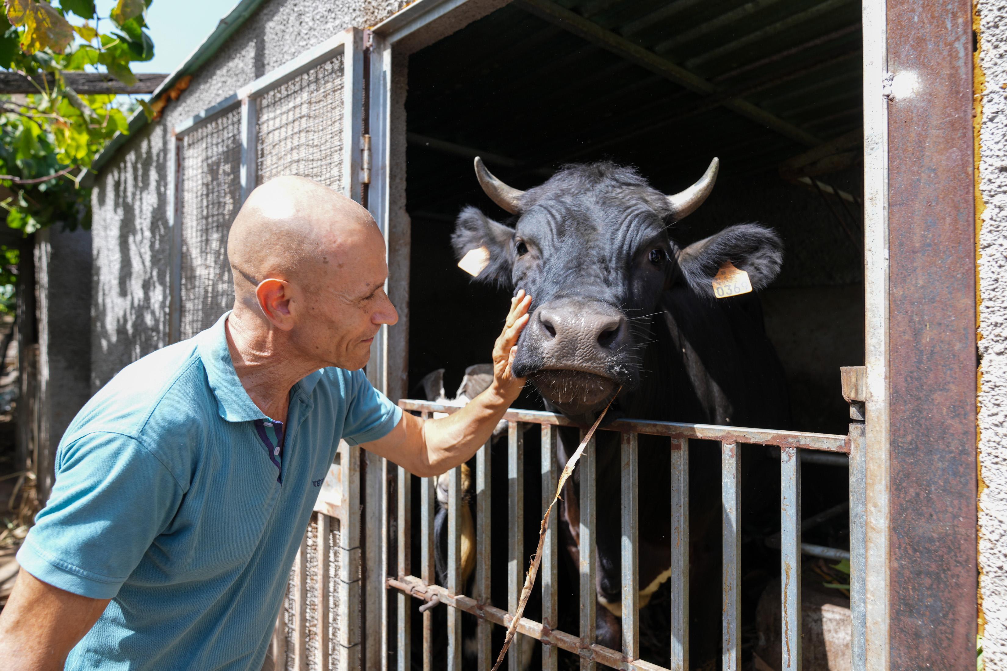 ‘Perdidos e Achados’: Fazenda plantada na urbe regada pela paixão por café (com fotos)