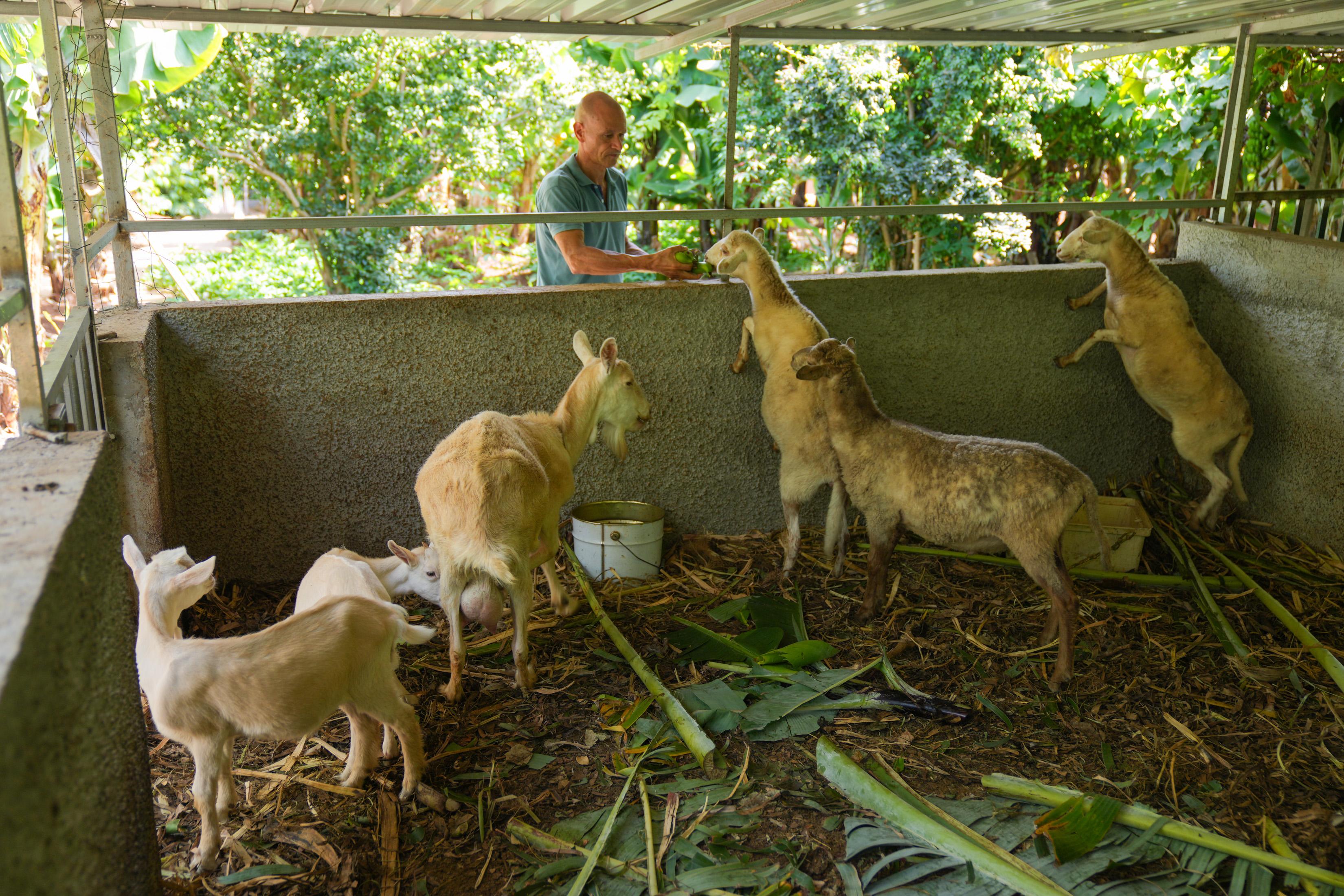 ‘Perdidos e Achados’: Fazenda plantada na urbe regada pela paixão por café (com fotos)
