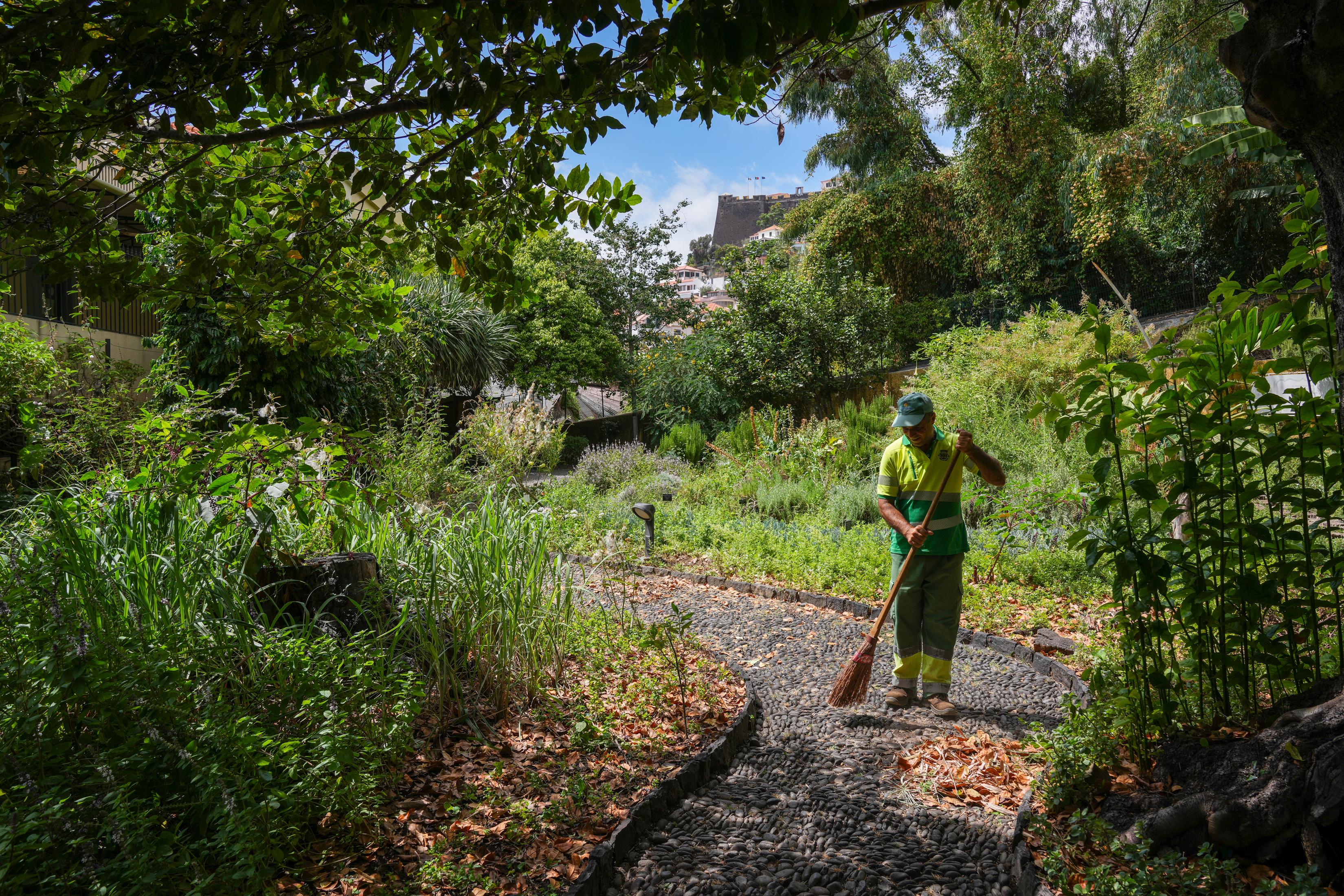 ‘Perdidos e Achados’: Jardim com cura para tudo plantado no centro da cidade (com fotos)