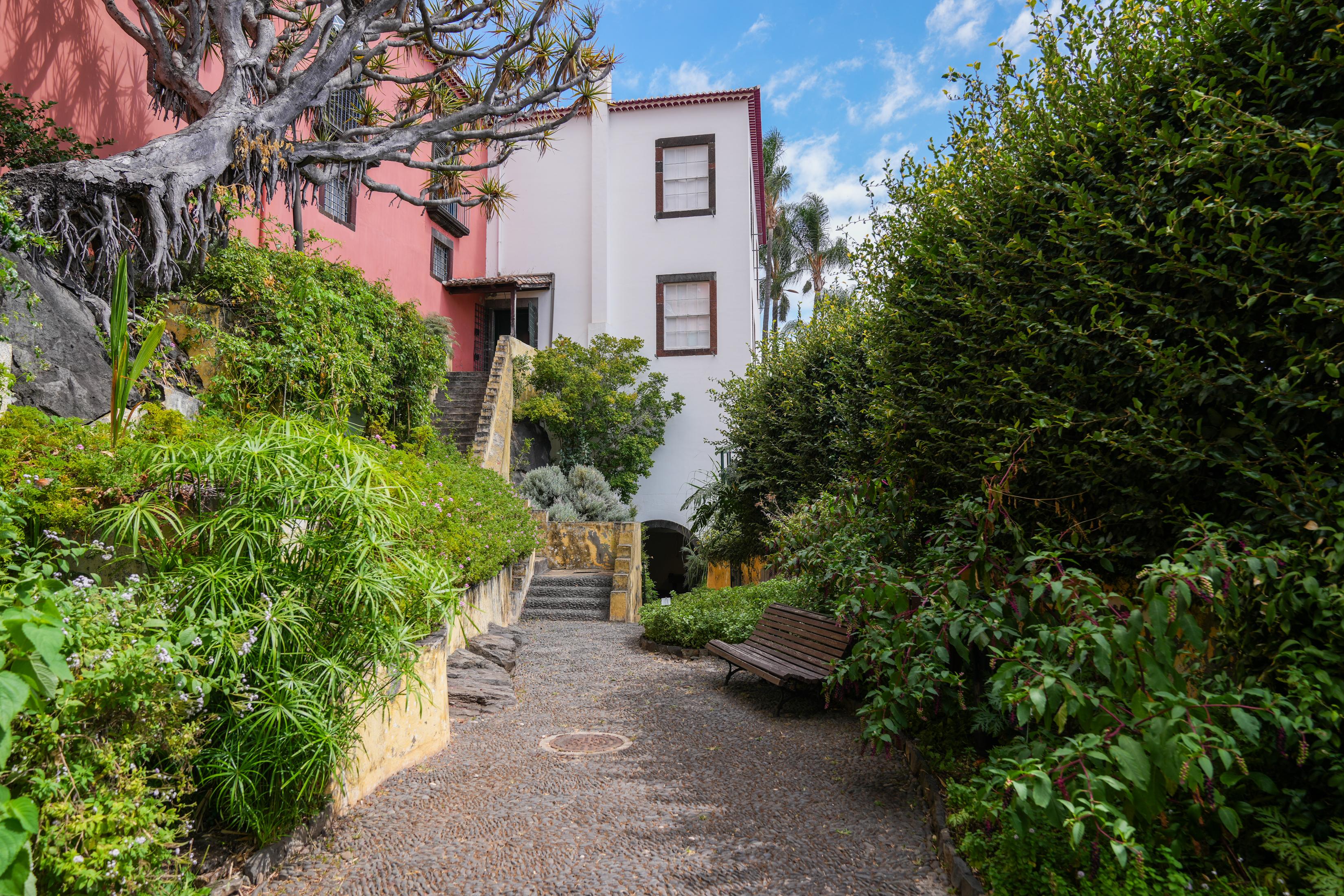 ‘Perdidos e Achados’: Jardim com cura para tudo plantado no centro da cidade (com fotos)