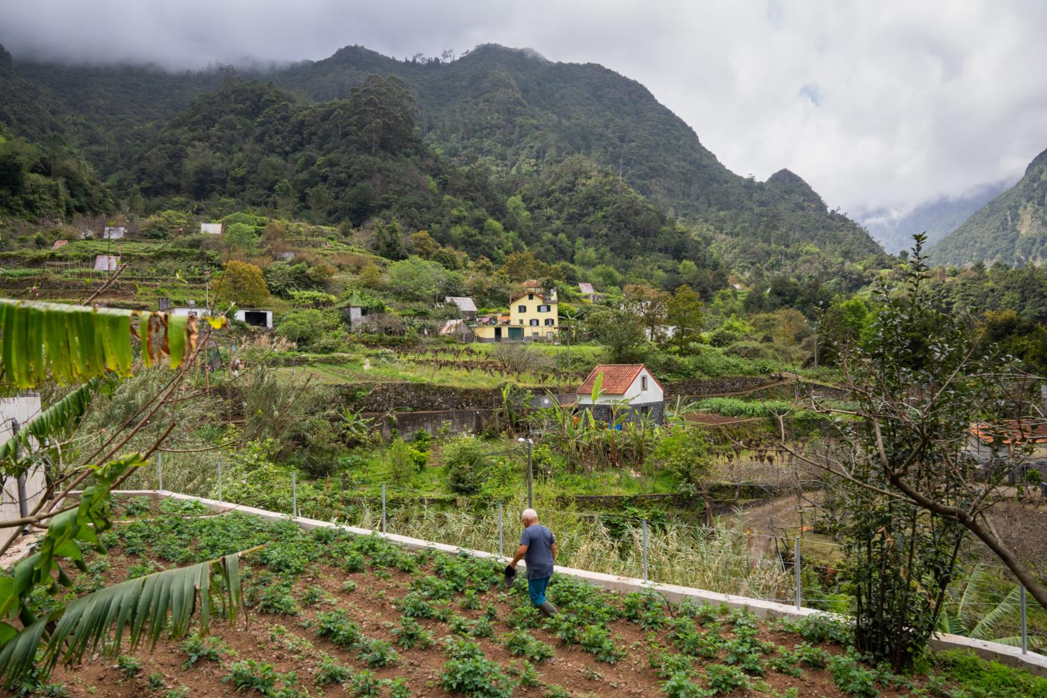 Perdidos e Achados: Nos Lamaceiros o ‘deserto’ é verde (com fotos)