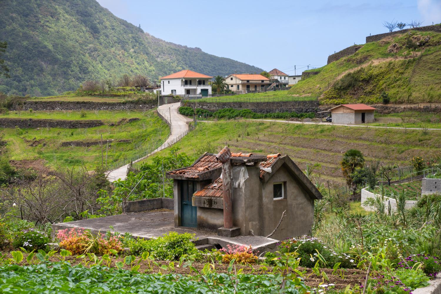 Perdidos e Achados: Nos Lamaceiros o ‘deserto’ é verde (com fotos)