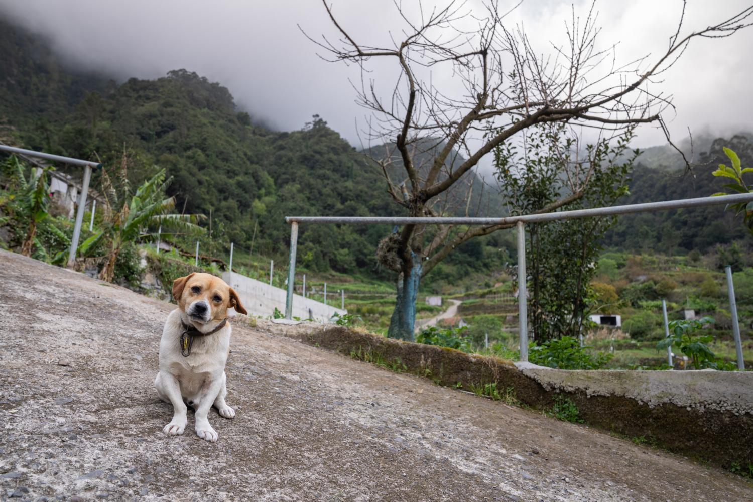 Perdidos e Achados: Nos Lamaceiros o ‘deserto’ é verde (com fotos)