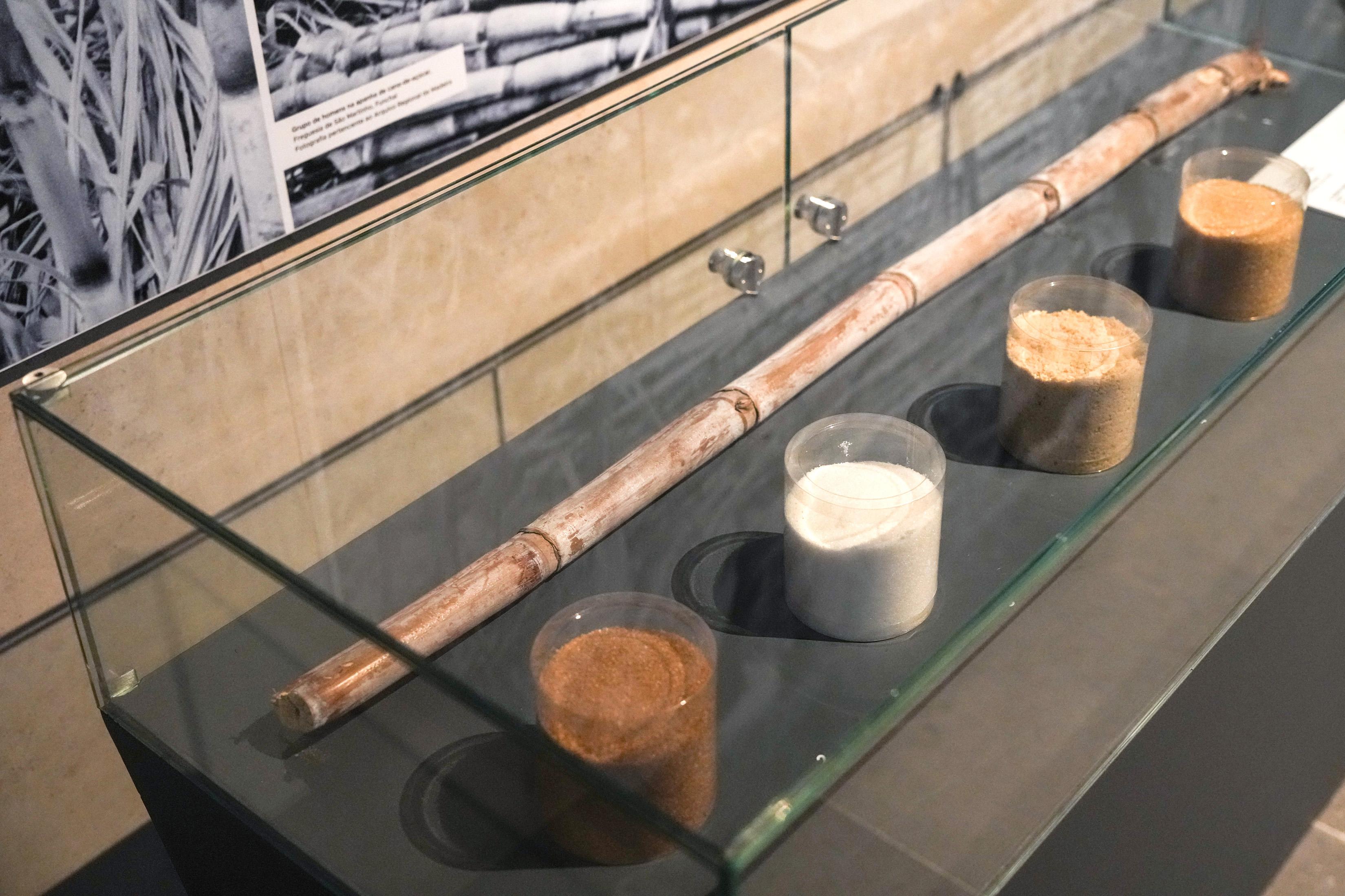 Perdidos e Achados: Um Museu ‘doce’ recheado de achados arqueológicos