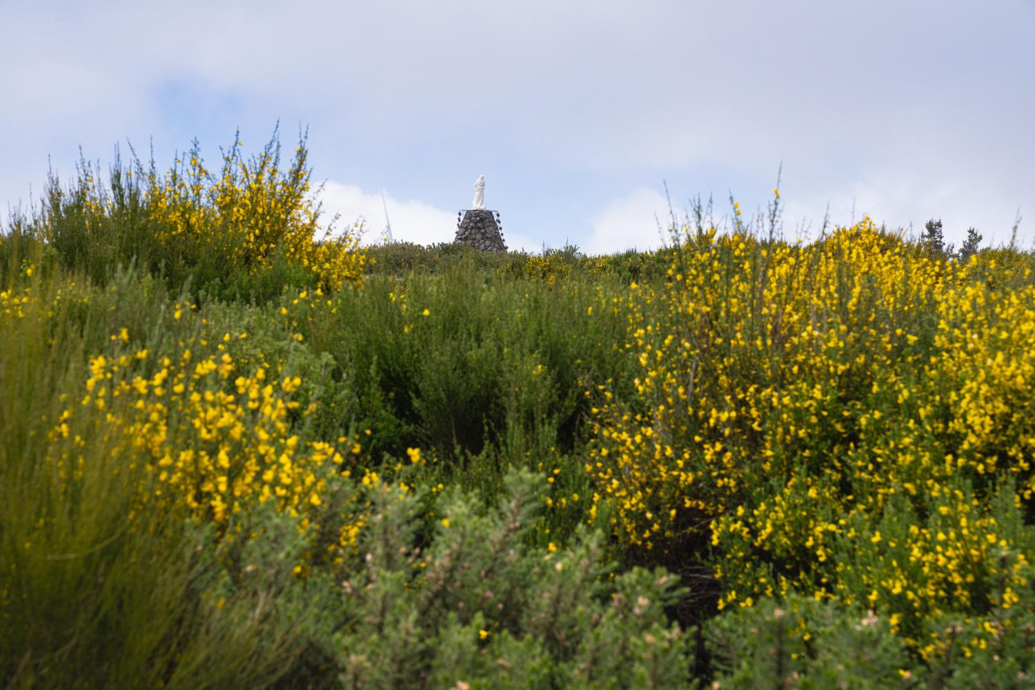 A atmosfera quase mística é pincelada, nesta altura do ano pelo amarelo da giesta que brota em força