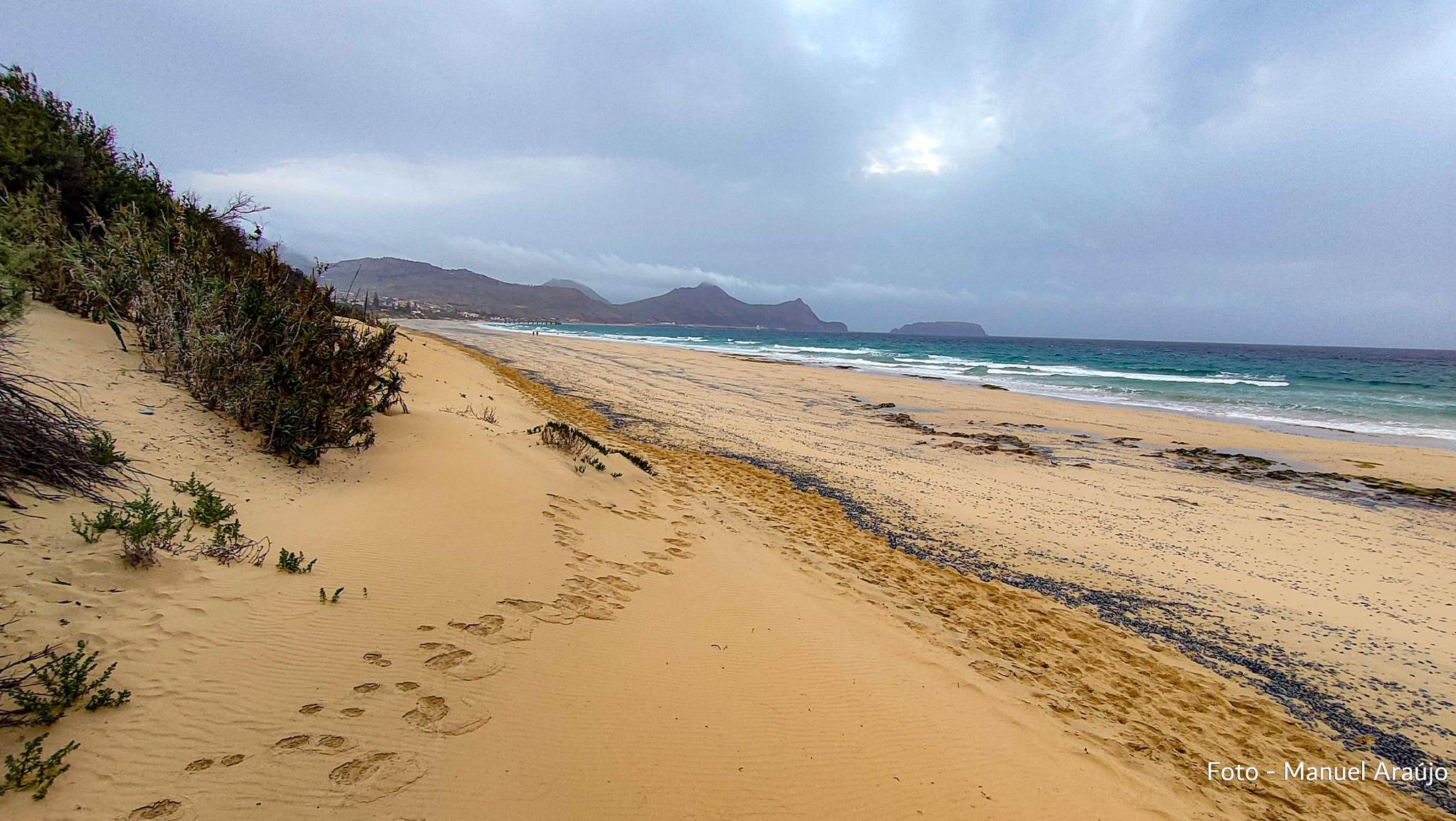 Os “Veleiros” estão em toda a praia.