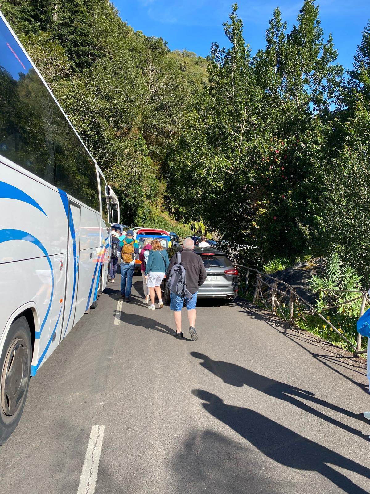 Trânsito parado para ver as trutas no Ribeiro Frio