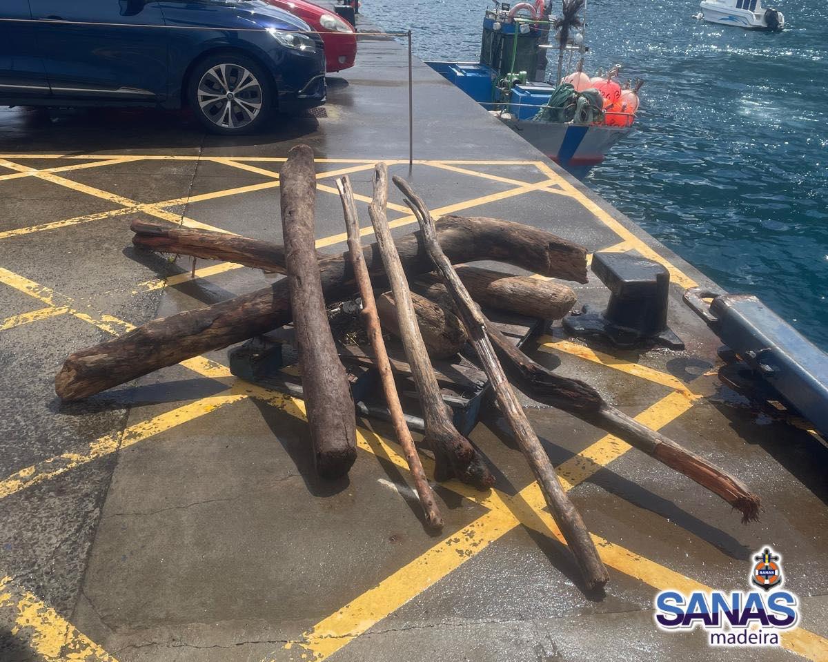 Muitos pedaços de madeira foram recolhidos do mar.