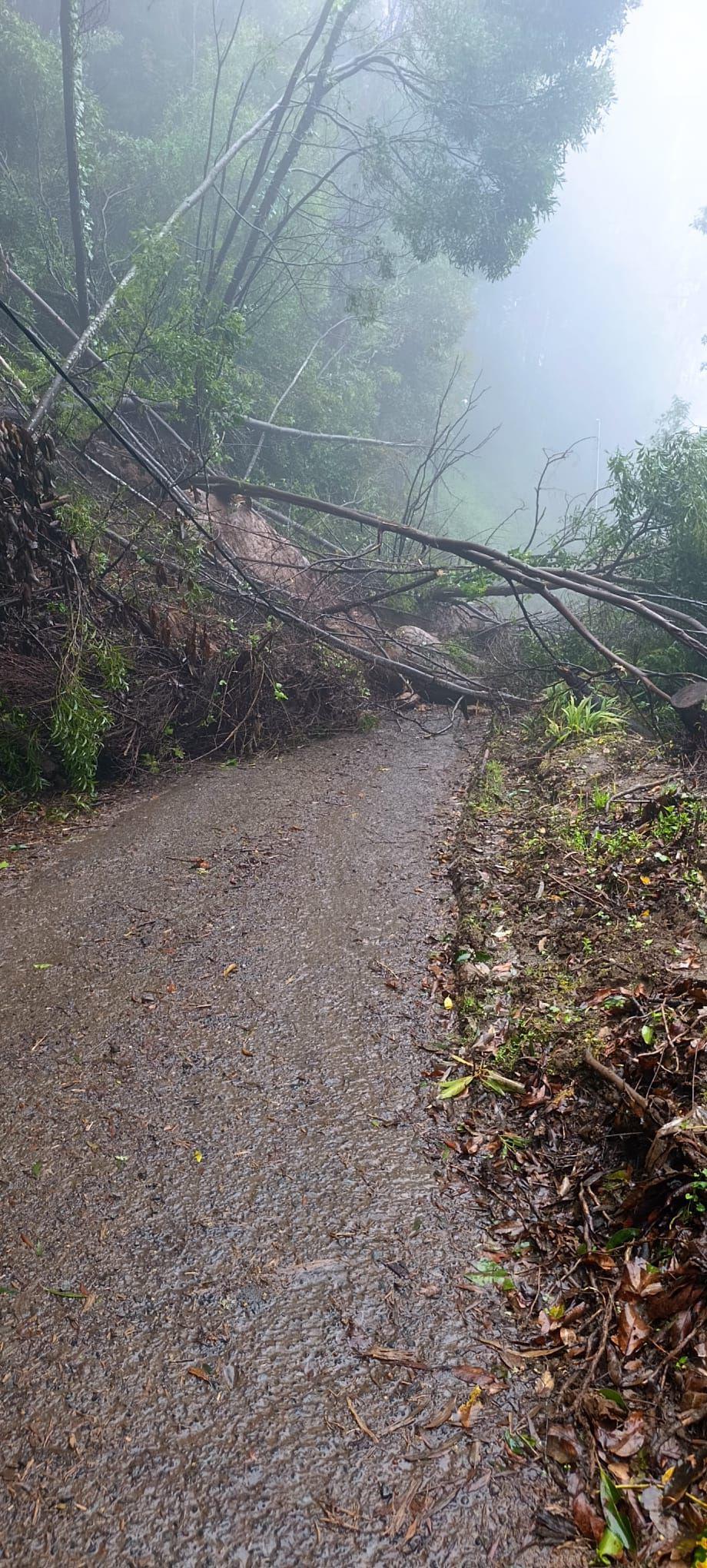 Caminho da Cova do Castanheiro ficou também interrompido.