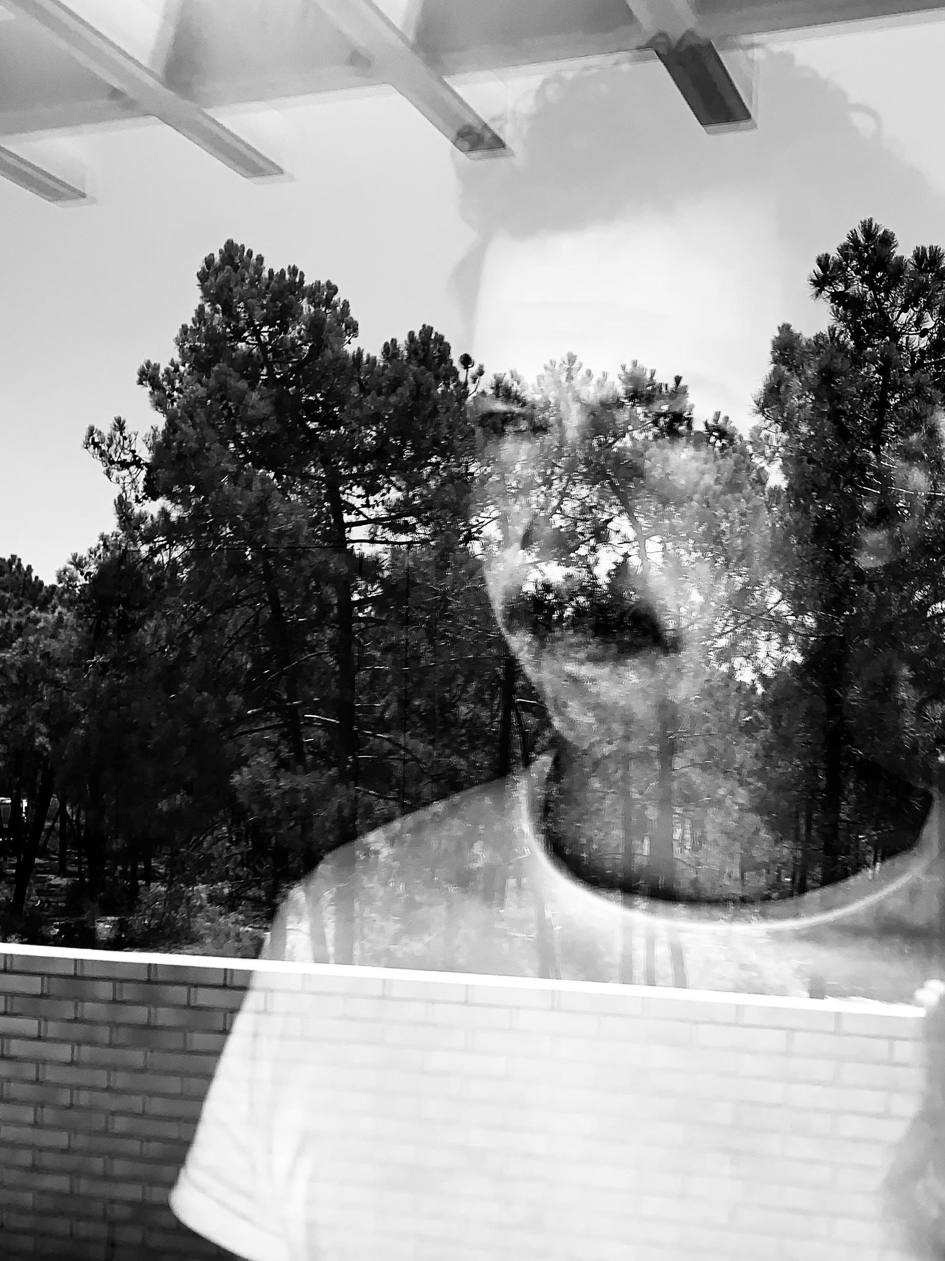 Festival Fractal regressa ao Funchal entre 20 e 28 de setembro