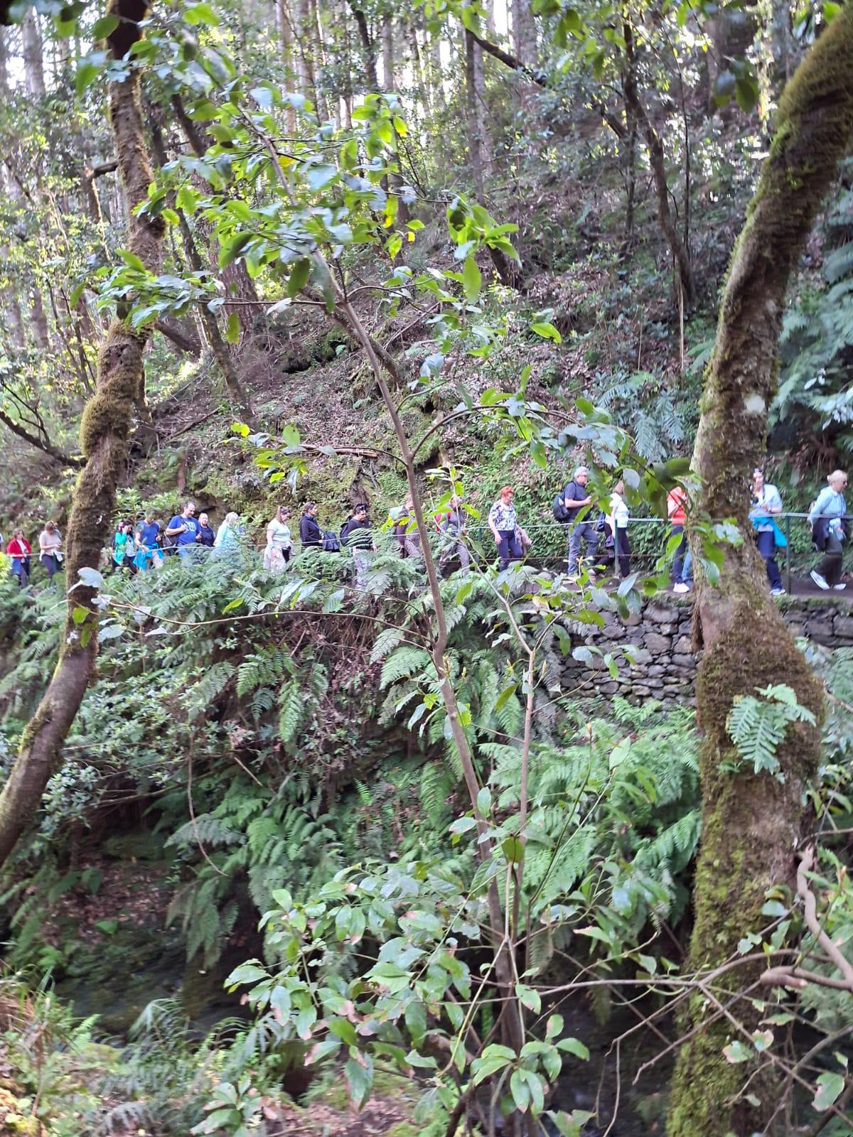 É praticamente impossível circular a pé na vereda dos Balcões.