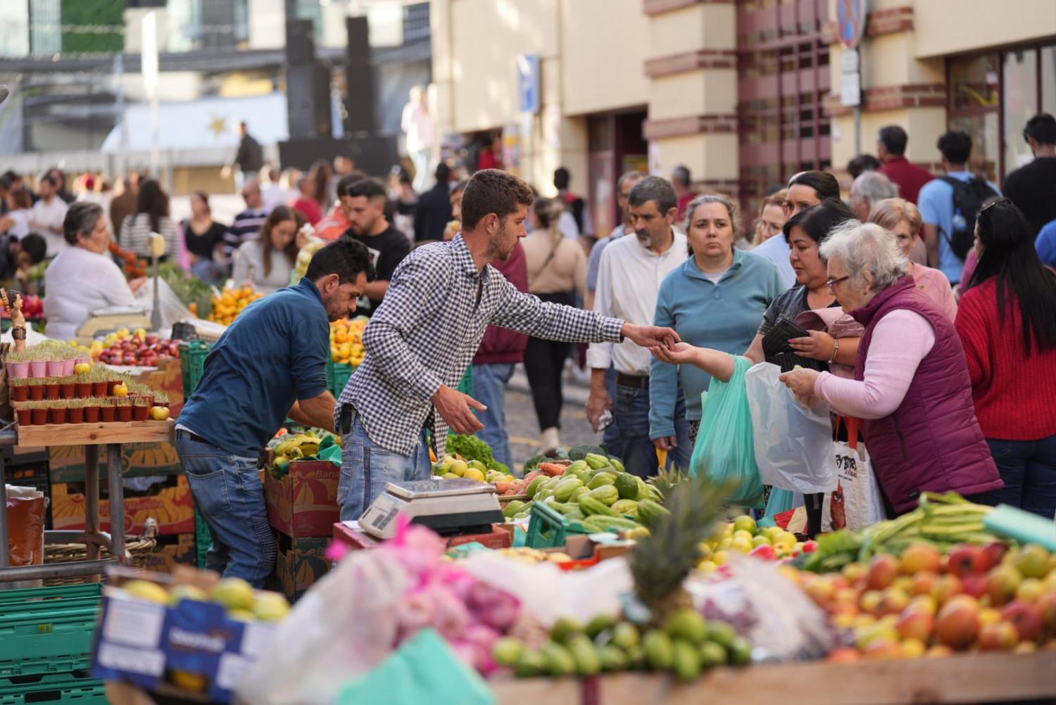Ruas do Funchal já vibram no arranque da mais tradicional das festas madeirenses
