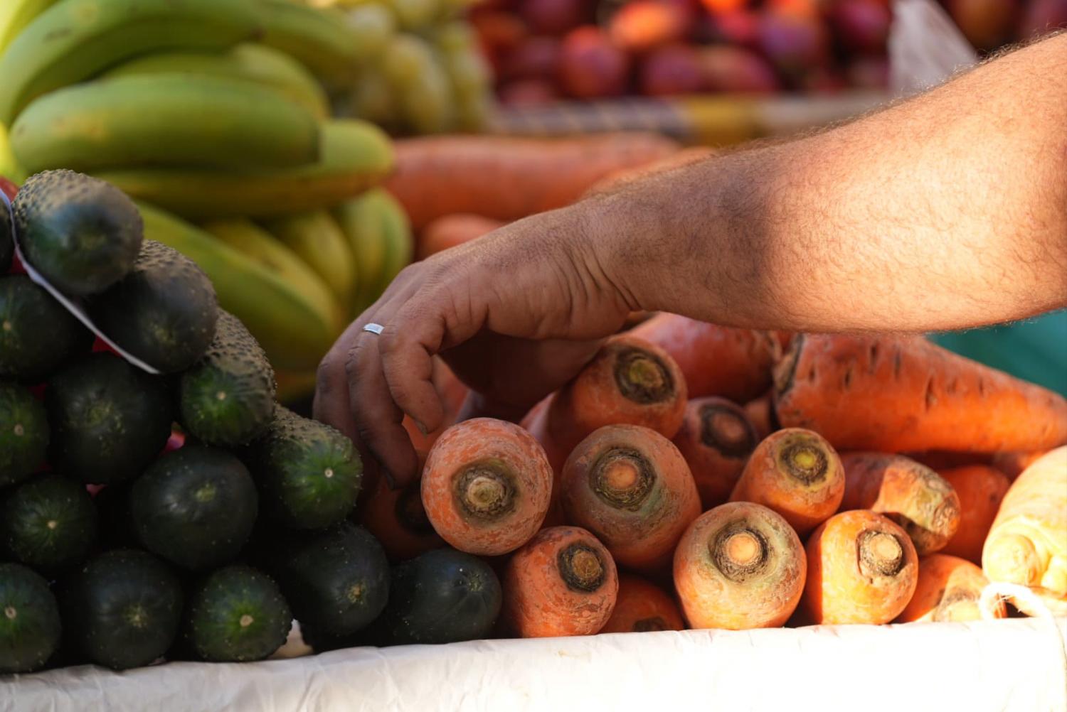 Ruas do Funchal já vibram no arranque da mais tradicional das festas madeirenses
