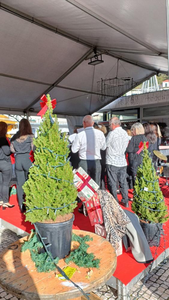 Natal contagia Curral das Freiras