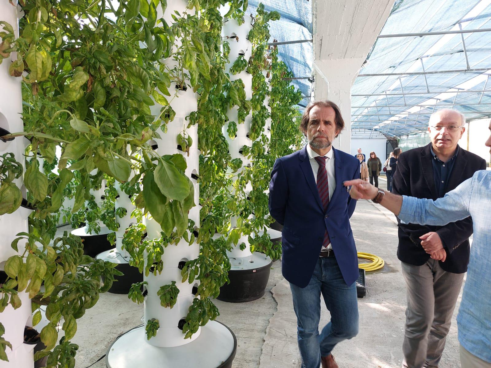 Adiar eleições “seria completamente ridículo”, diz Albuquerque