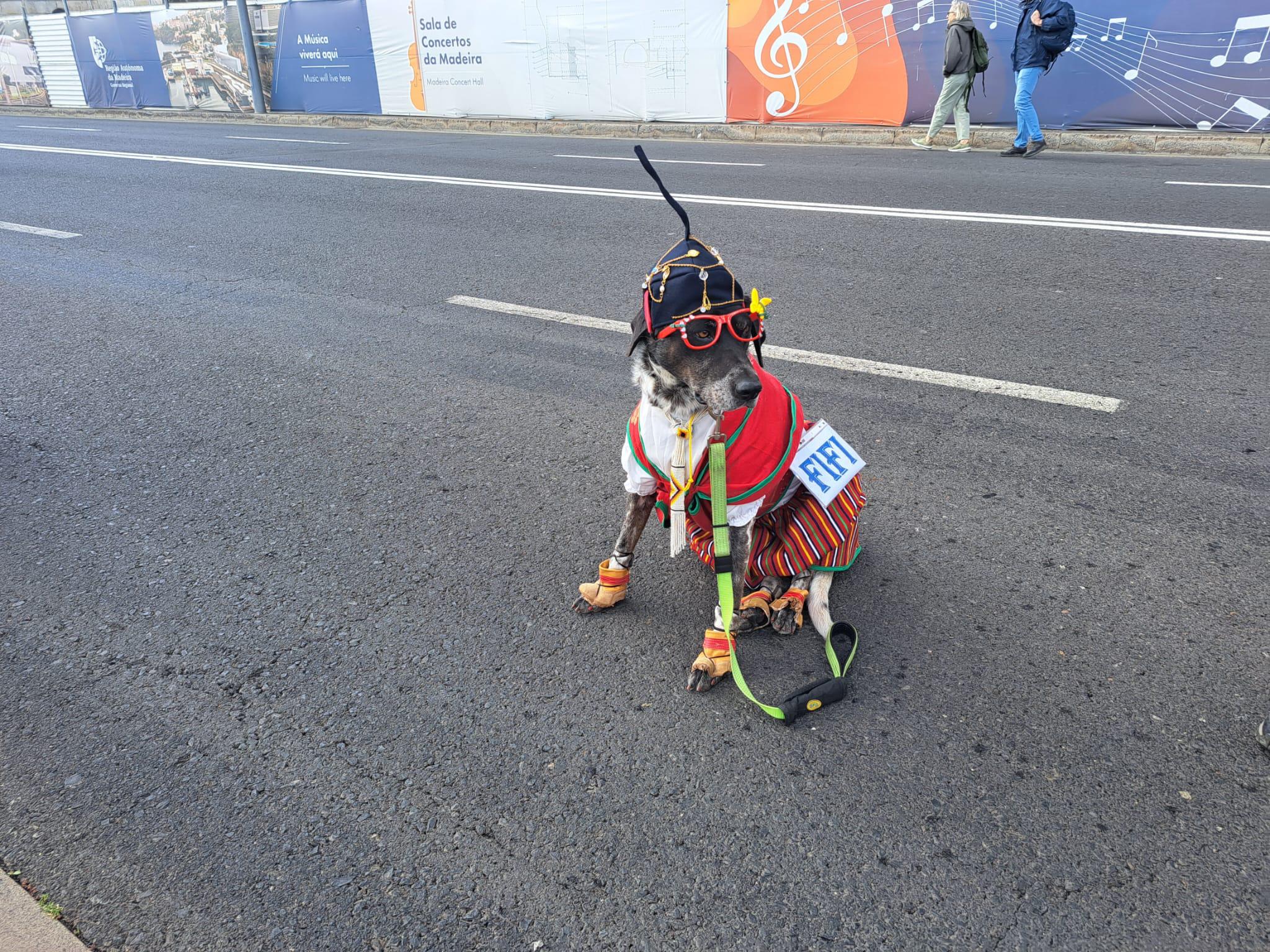 578 inscritos no cortejo que está prestes a começar