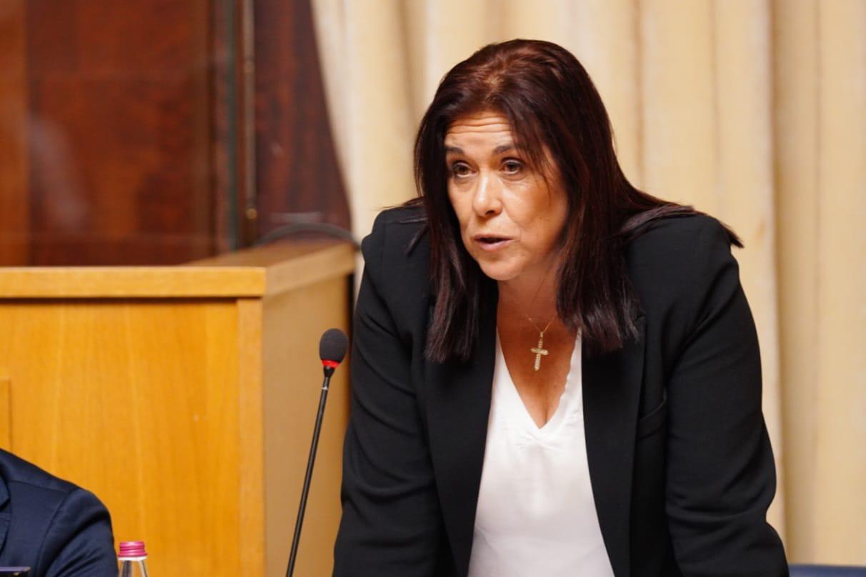 Programa de Governo: “Apresentaram projetos e depois uma moção de censura...”, lembra Carvalho ao Chega