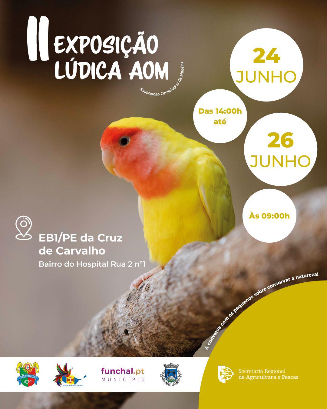 Associação Ornitológica sensibiliza crianças para importância da conservação das aves e biodiversidade