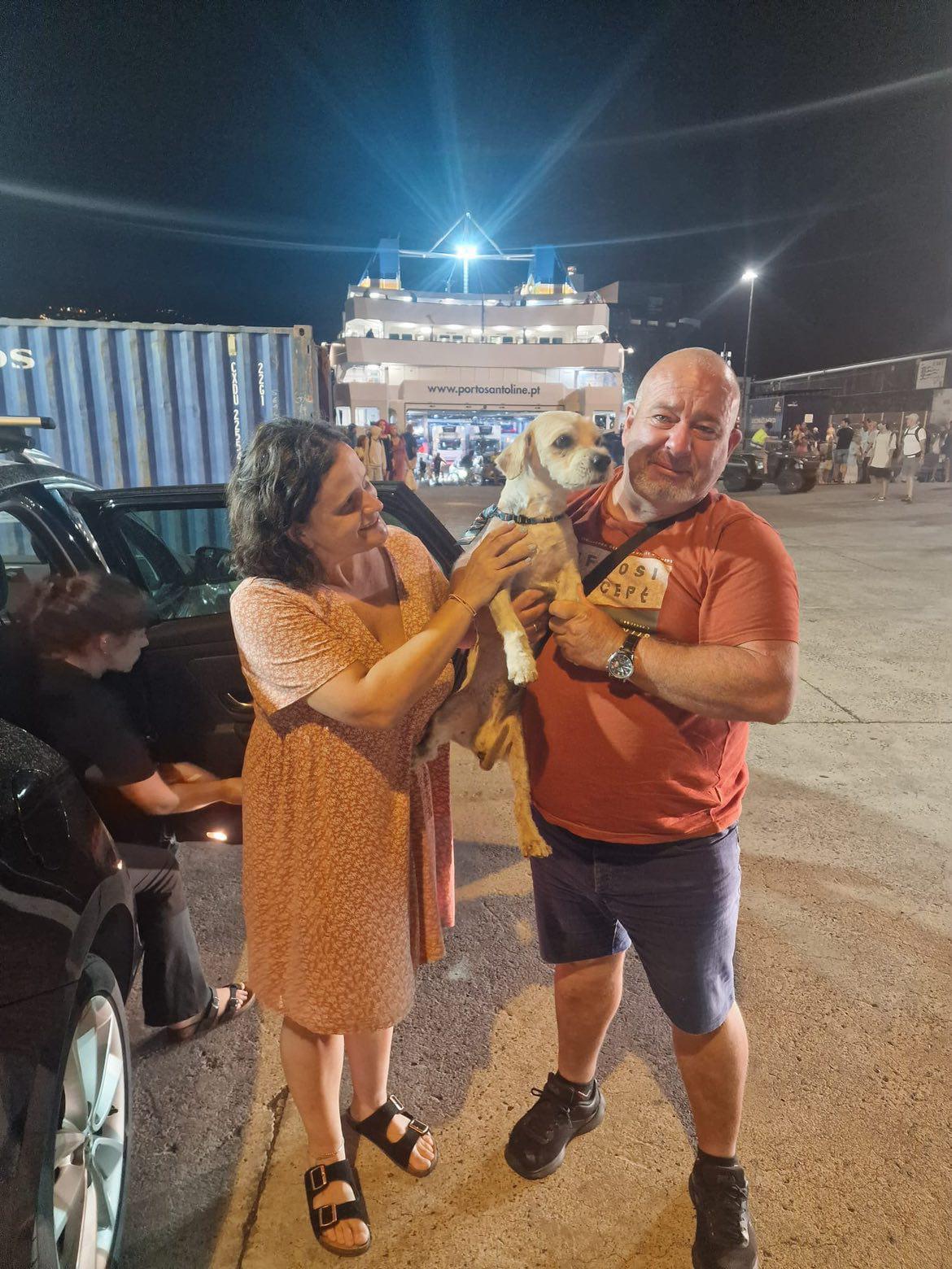 Resgatado cão que tinha fugido do Lobo Marinho na sexta-feira (com vídeo)