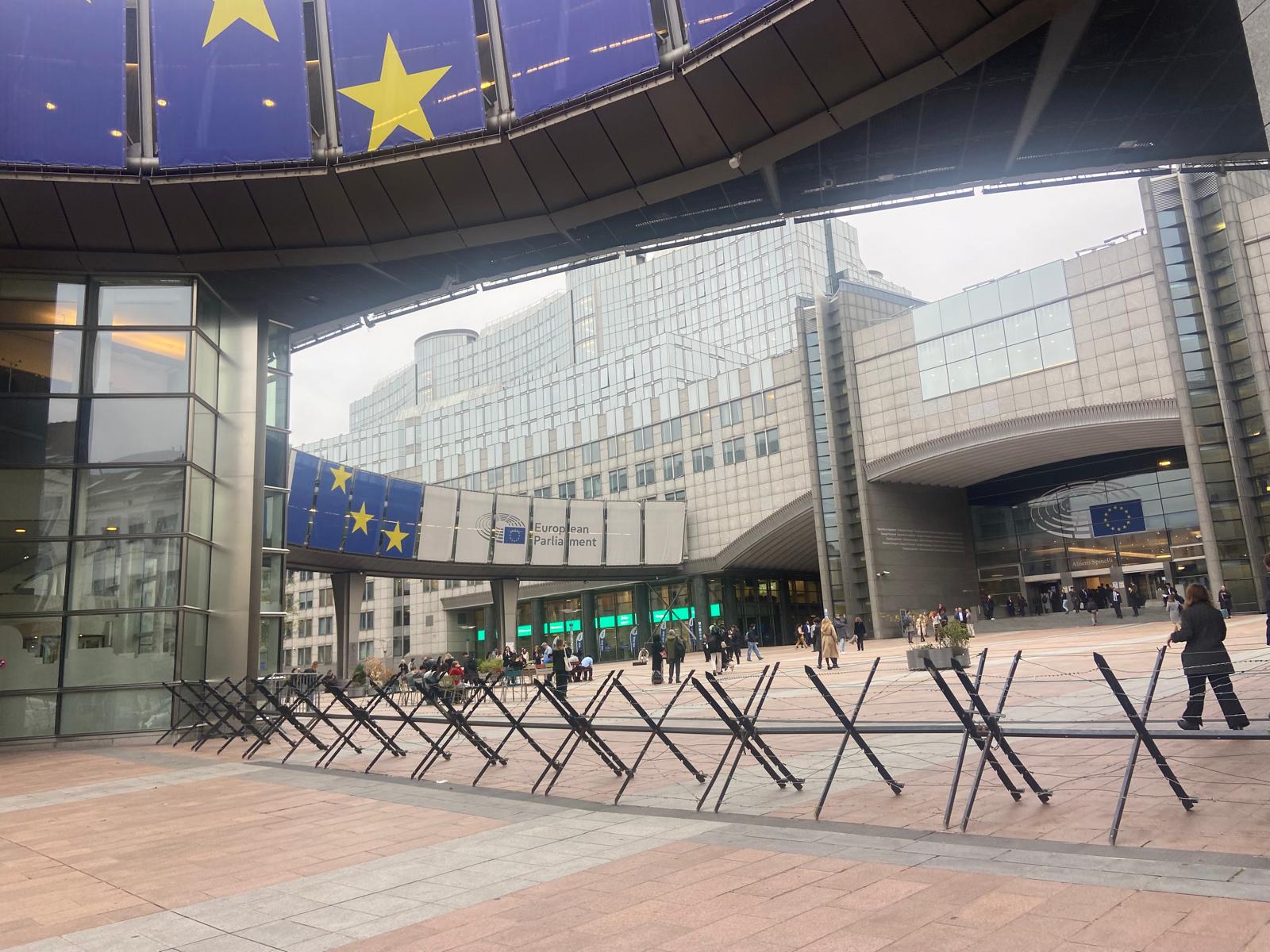 Desinformação leva jovens a Bruxelas (com fotos)