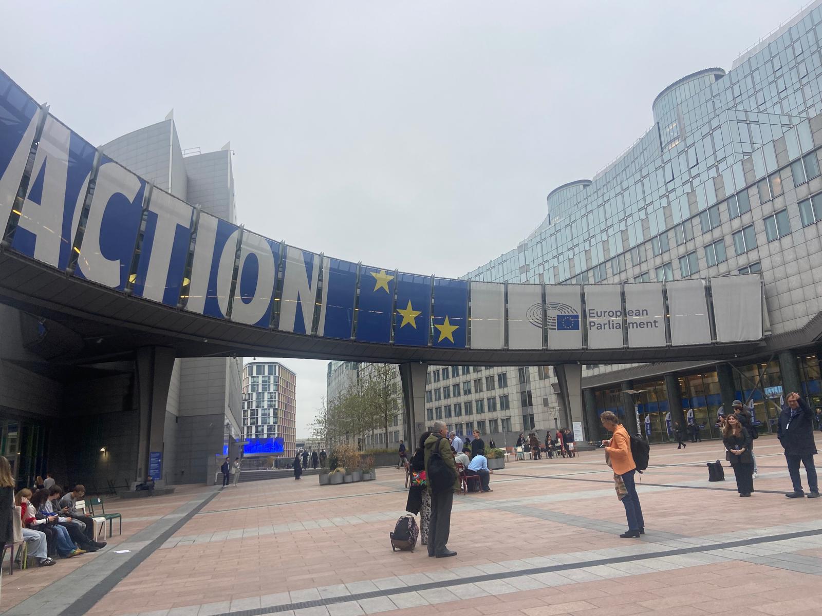 Desinformação leva jovens a Bruxelas (com fotos)