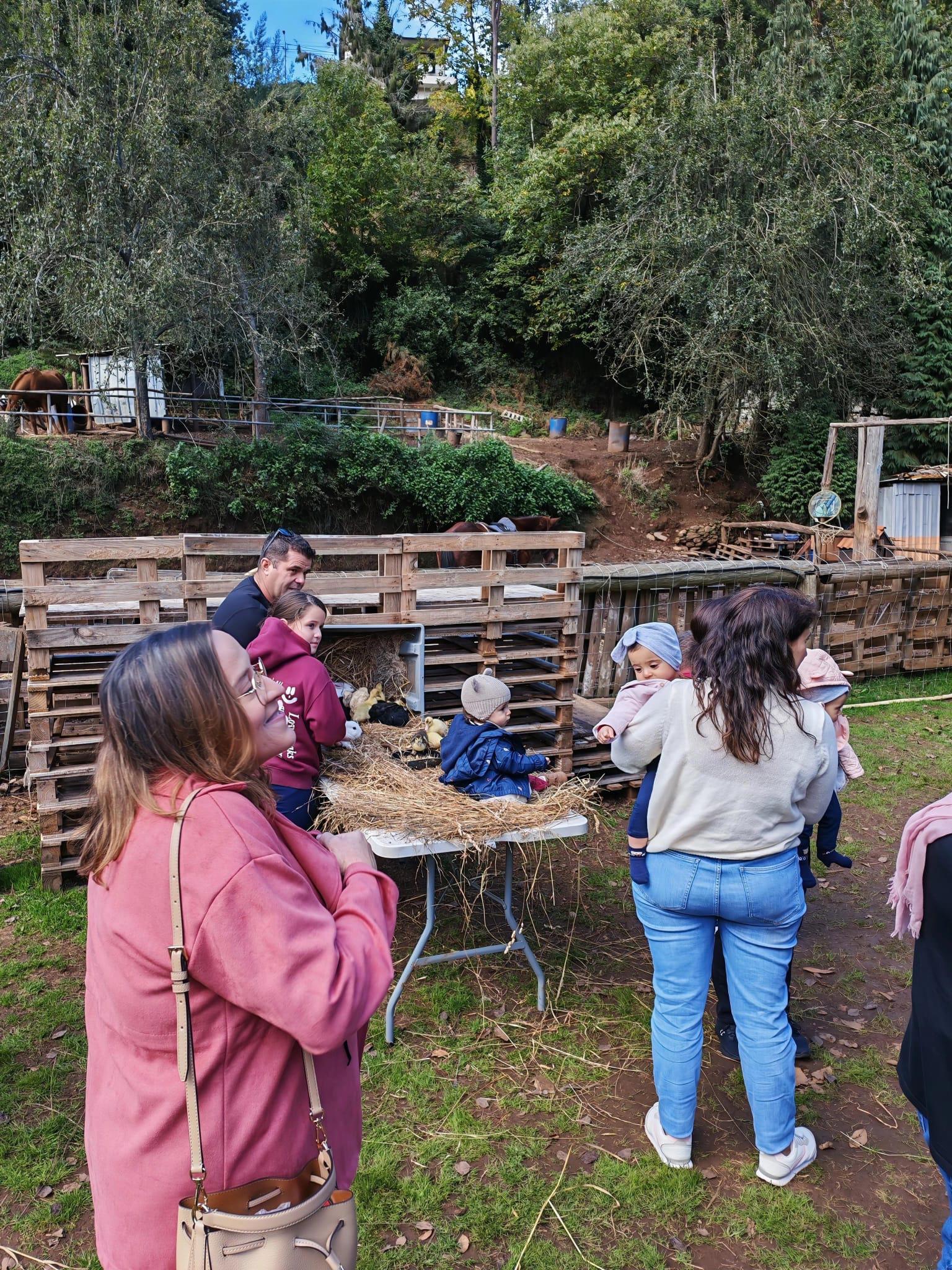 Quinta da Caldeira celebrou Dia Mundial da Prematuridade