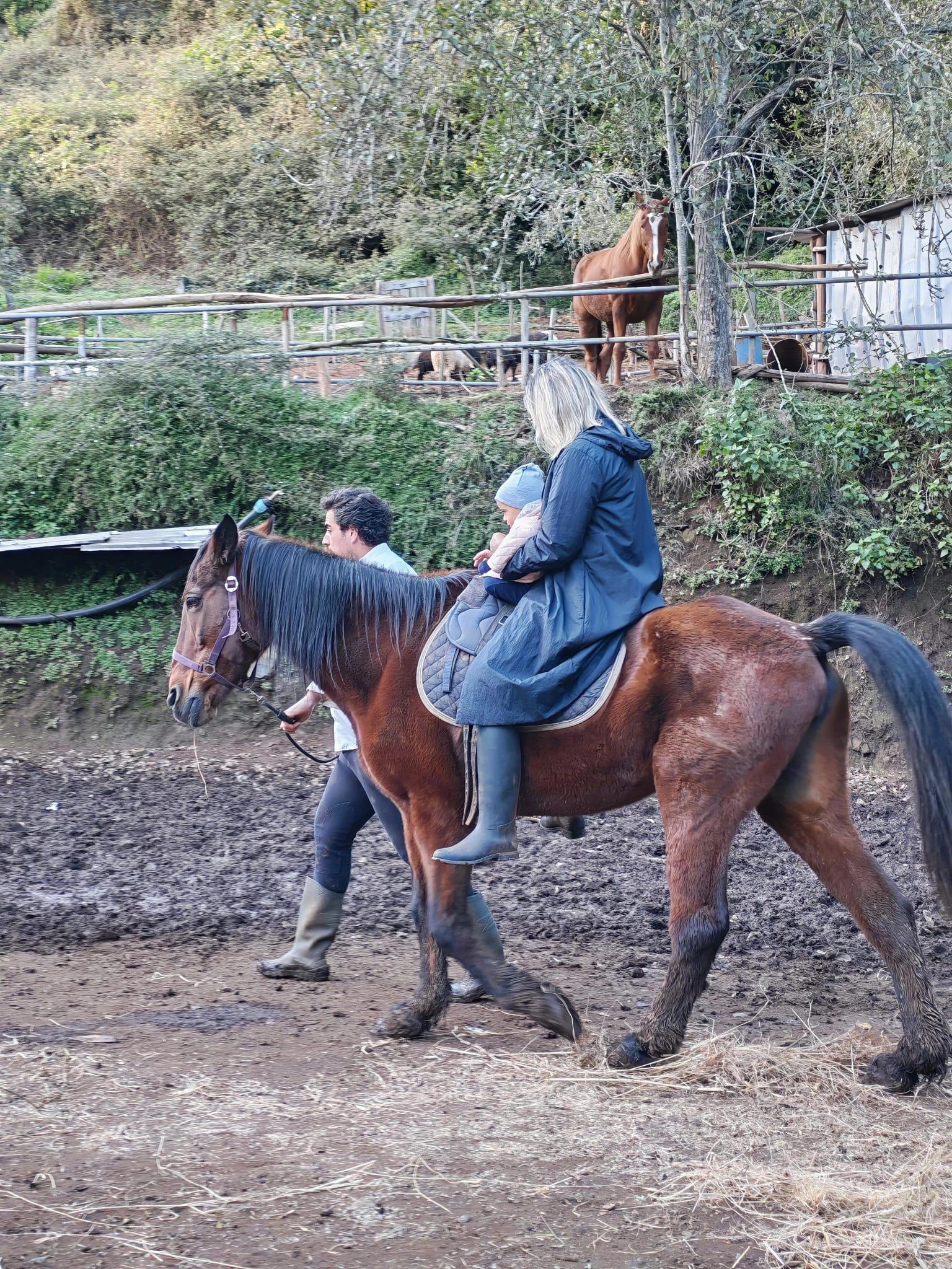 Quinta da Caldeira celebrou Dia Mundial da Prematuridade