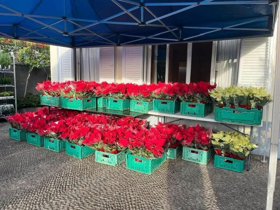 Lions Clube do Funchal realiza Feira de Natal a 6 e 7 de dezembro