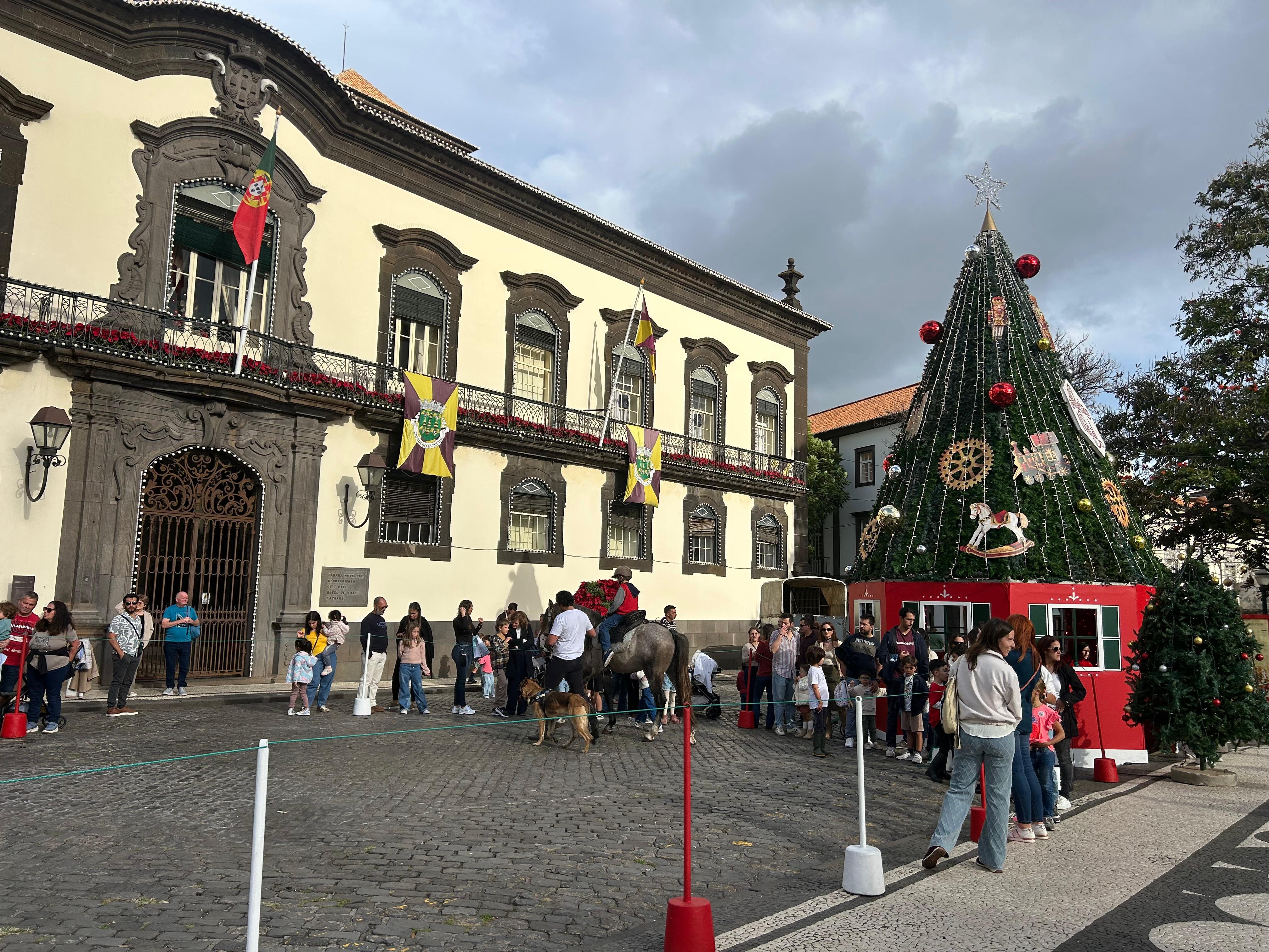Quinta da Caldeira traz amigos de quatro patas à Praça do Município no Funchal (com fotos)