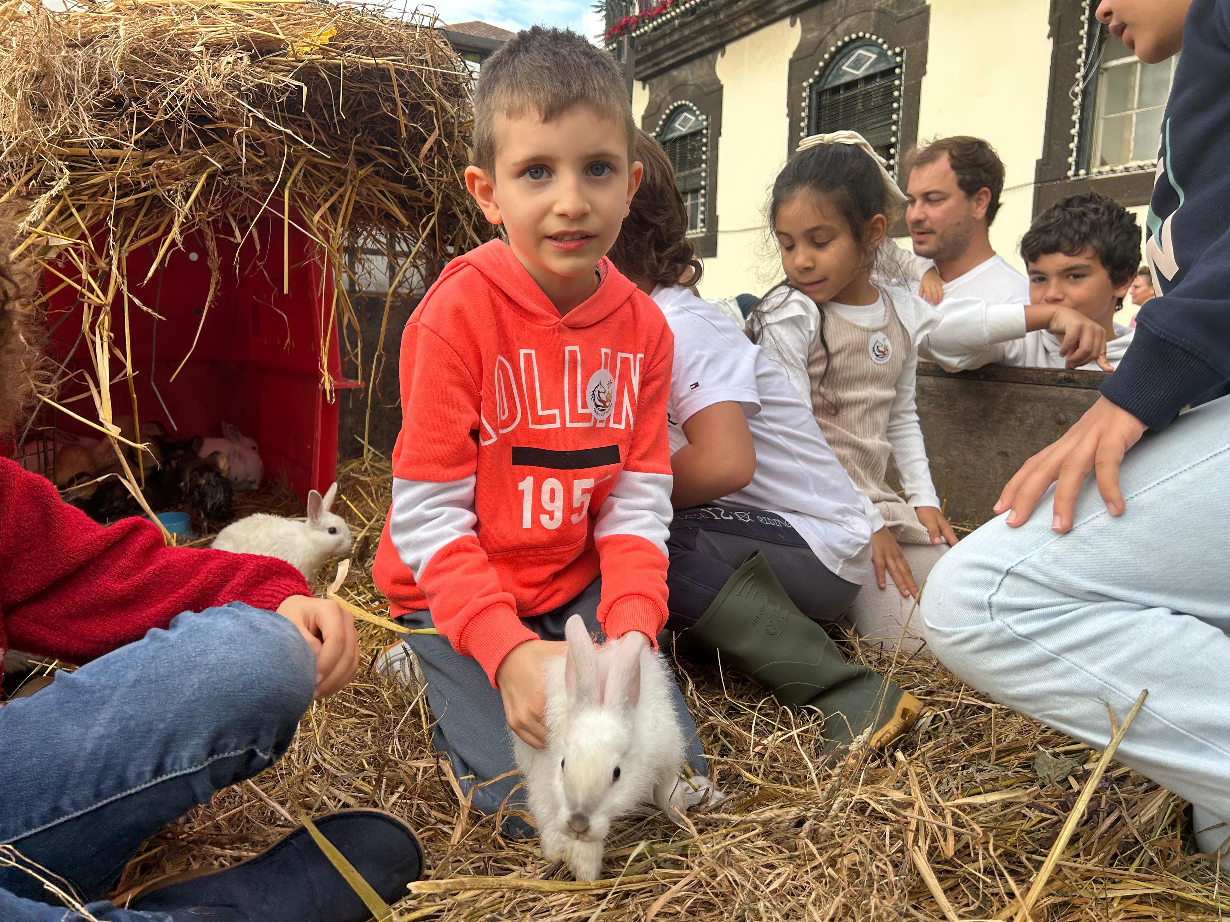 Quinta da Caldeira traz amigos de quatro patas à Praça do Município no Funchal (com fotos)