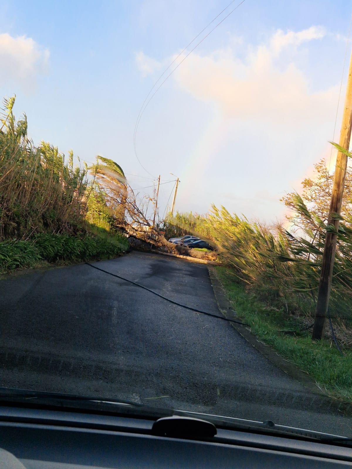 Veja as imagens de destroços provocados pelo mau tempo em diferentes pontos da ilha