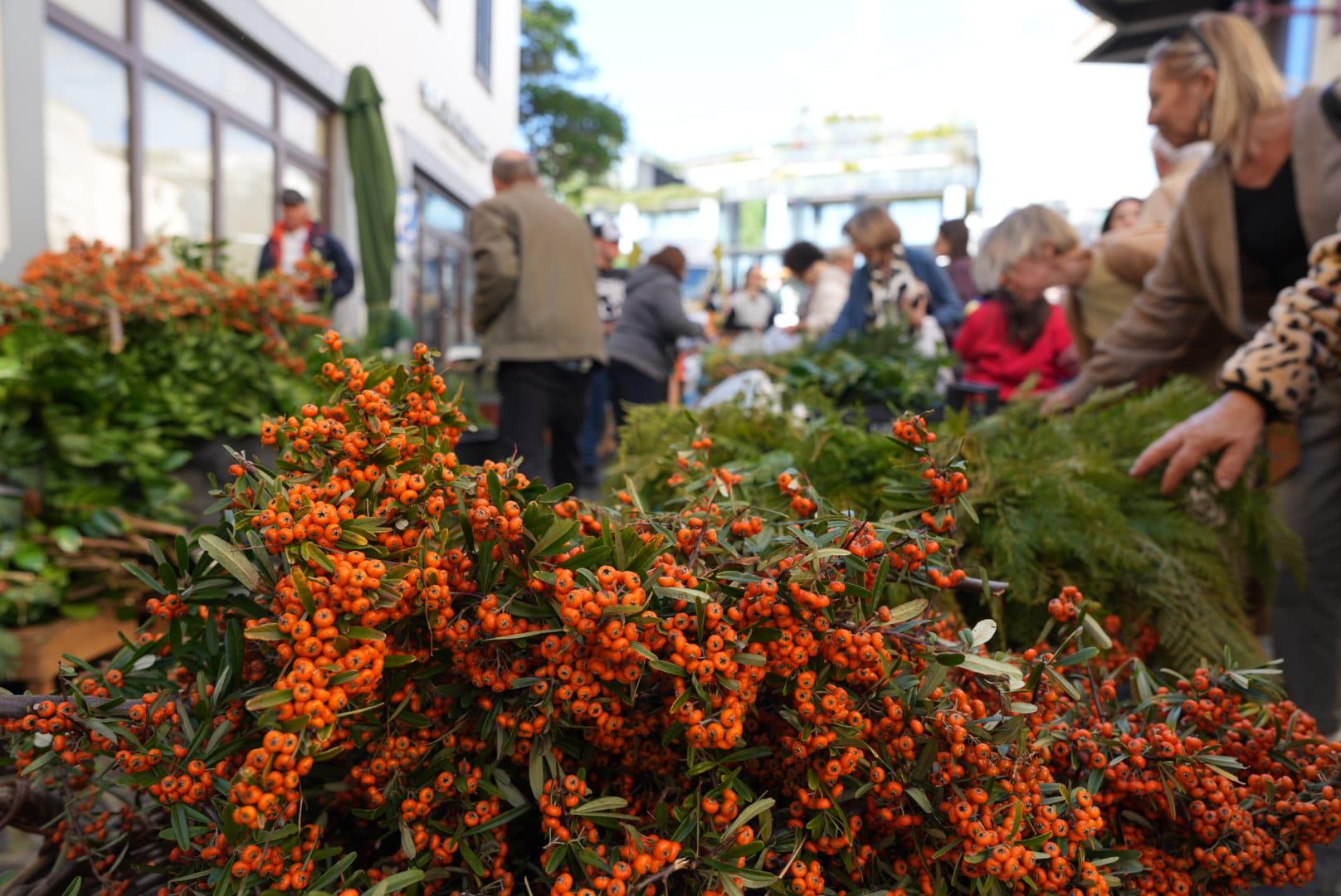 Madeirenses e turistas marcam a tradição das compras no mercado (com fotos)