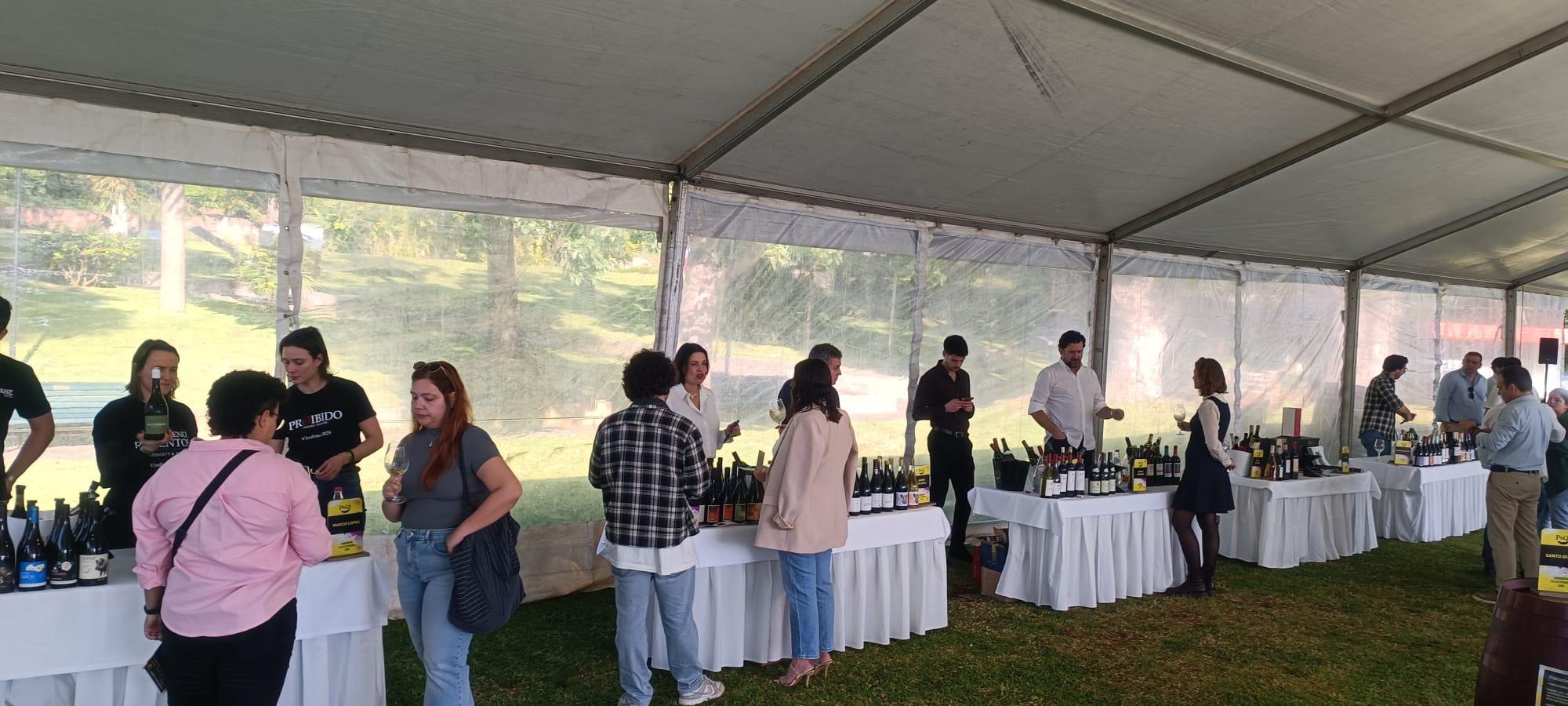 300 vinhos em prova na Quinta Magnólia (com fotos)