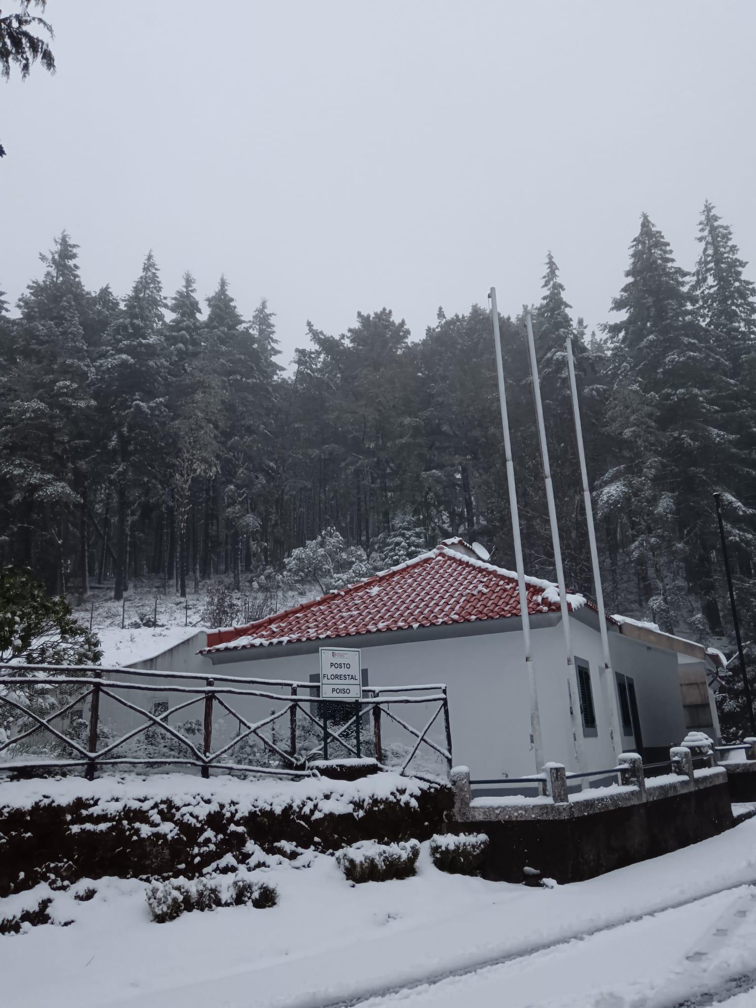 Veja as imagens do ‘quadro natural’ que a neve pintou no Poiso (fotogaleria)