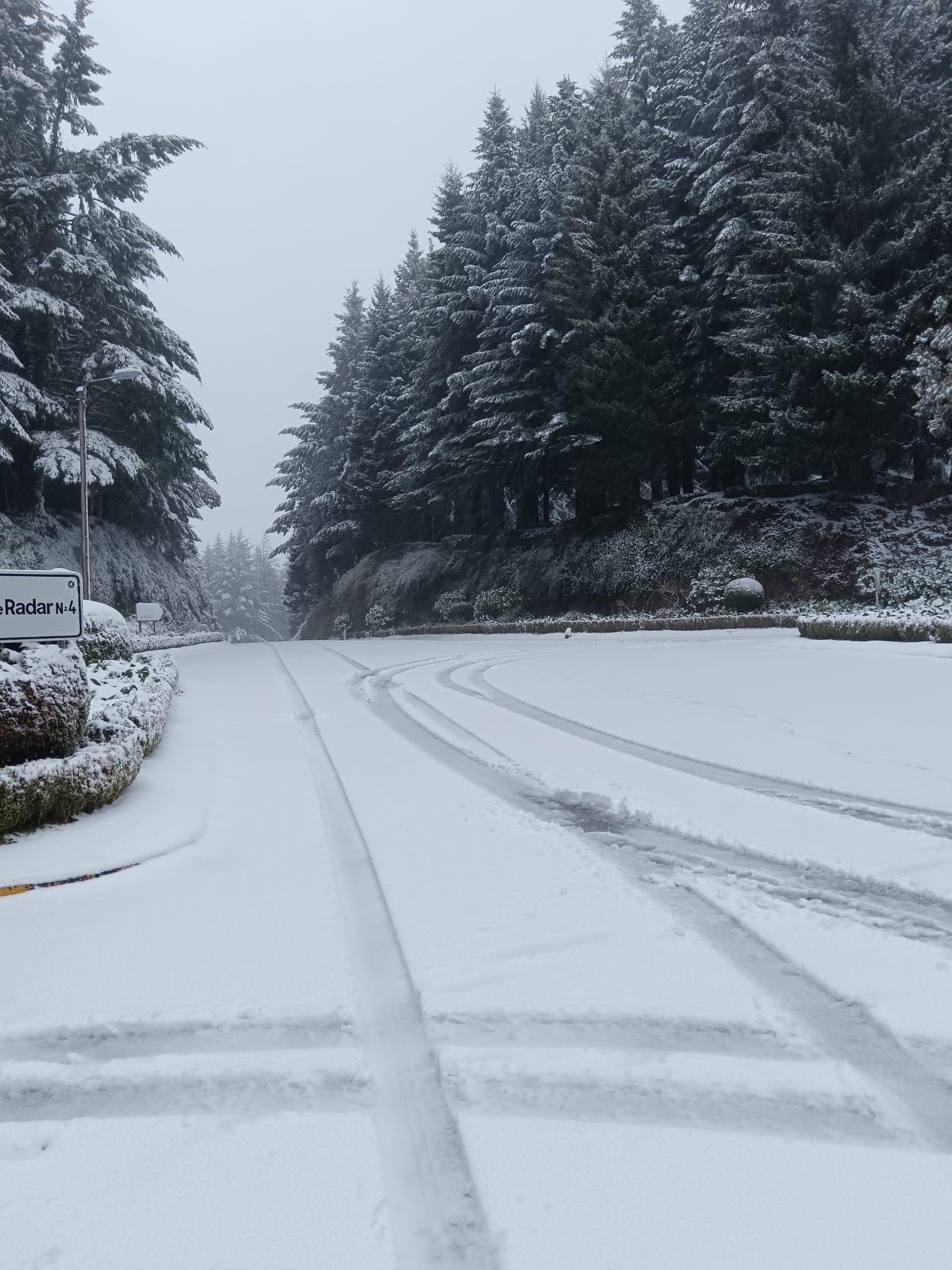 Veja as imagens do ‘quadro natural’ que a neve pintou no Poiso (fotogaleria)