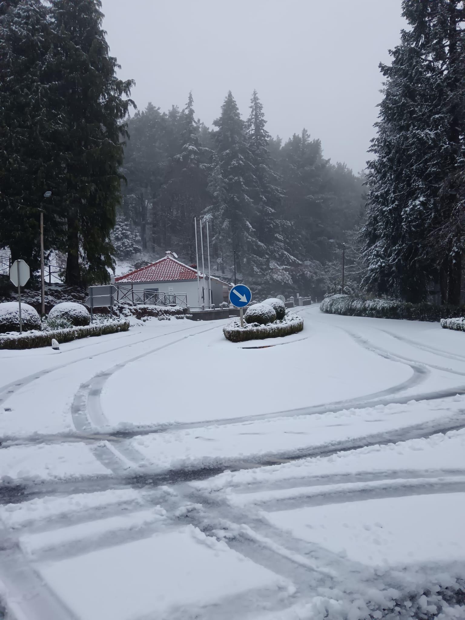 Veja as imagens do ‘quadro natural’ que a neve pintou no Poiso (fotogaleria)